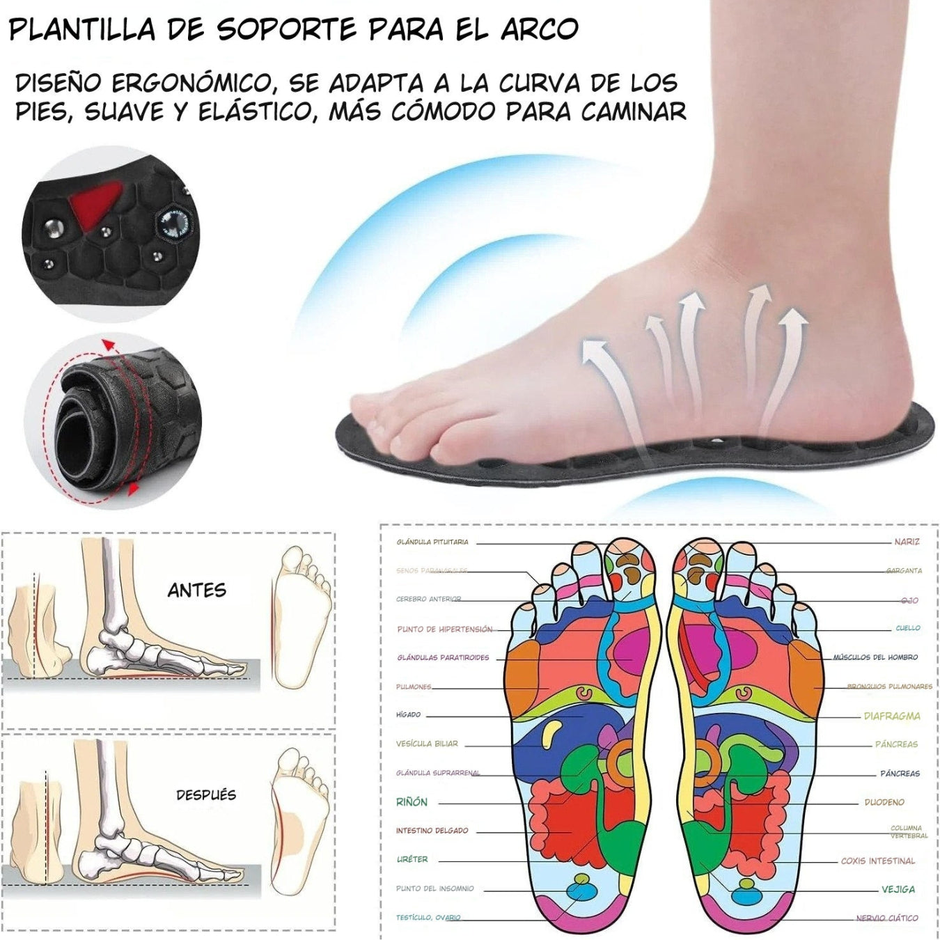 Par de Plantillas Magnéticas de Acupresión Pro+™