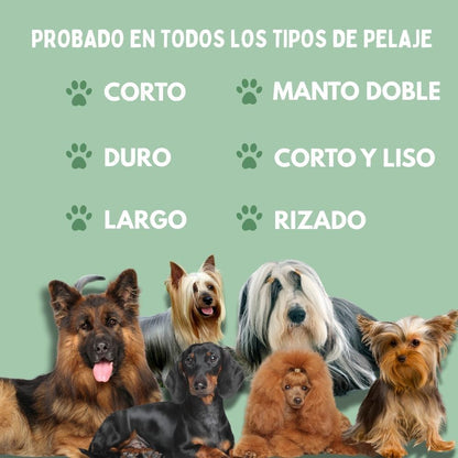 Cepillo de Vapor Multifuncional 4 en 1 para perros 🐶ENVIO GRATIS 🎁
