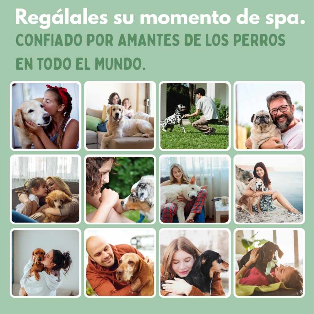 Cepillo de Vapor Multifuncional 4 en 1 para perros 🐶ENVIO GRATIS 🎁