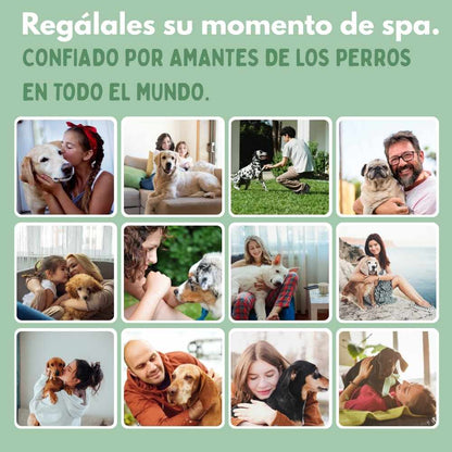 Cepillo de Vapor Multifuncional 4 en 1 para perros 🐶ENVIO GRATIS 🎁